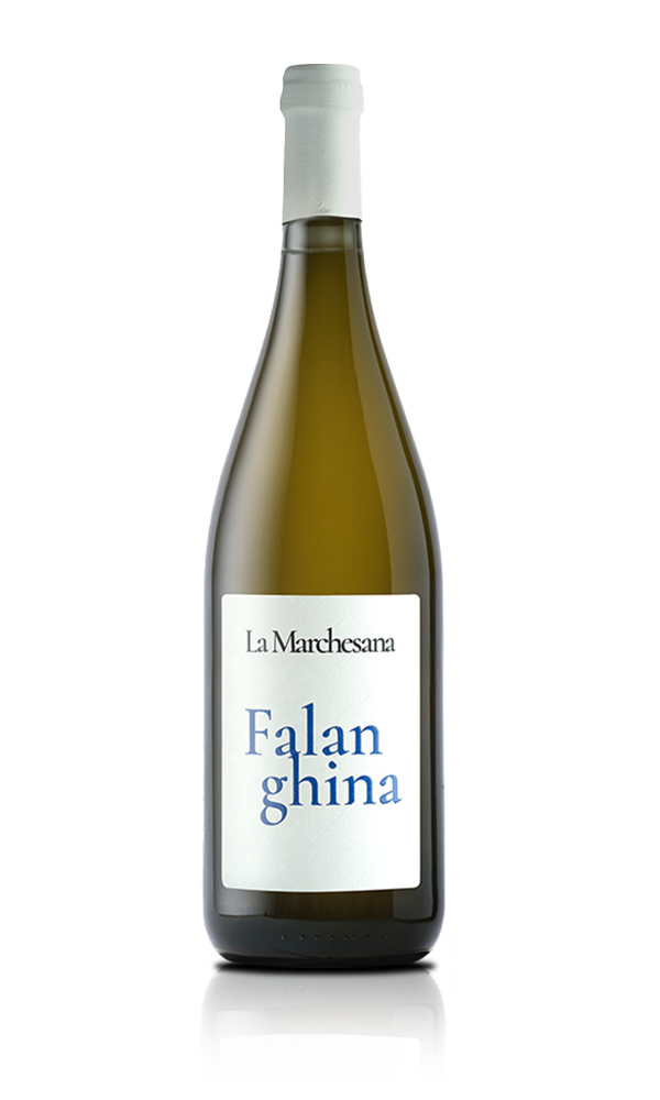 FALANGHINA MARCHESANA